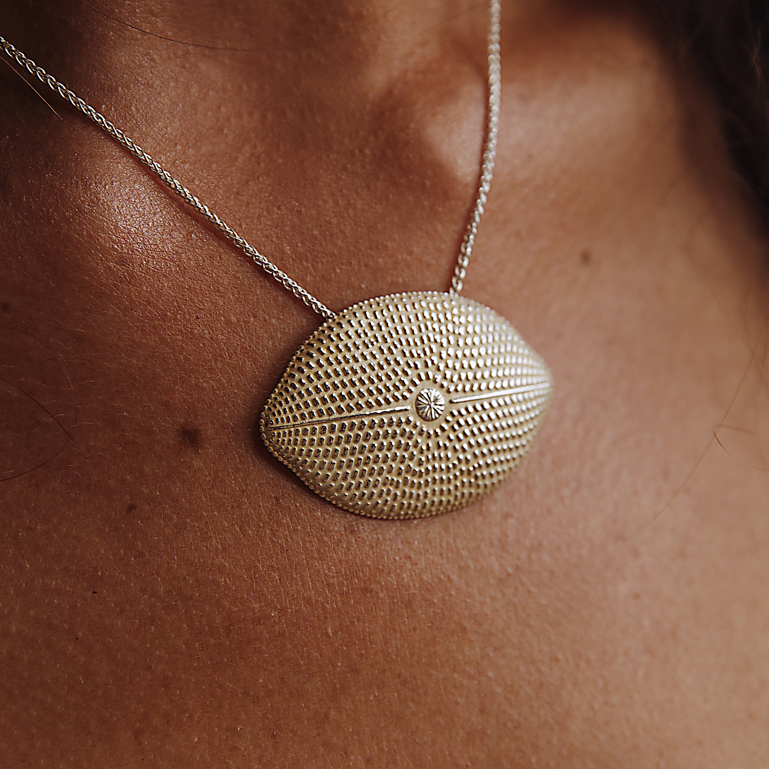 Collier “Petroneis”, Argent
