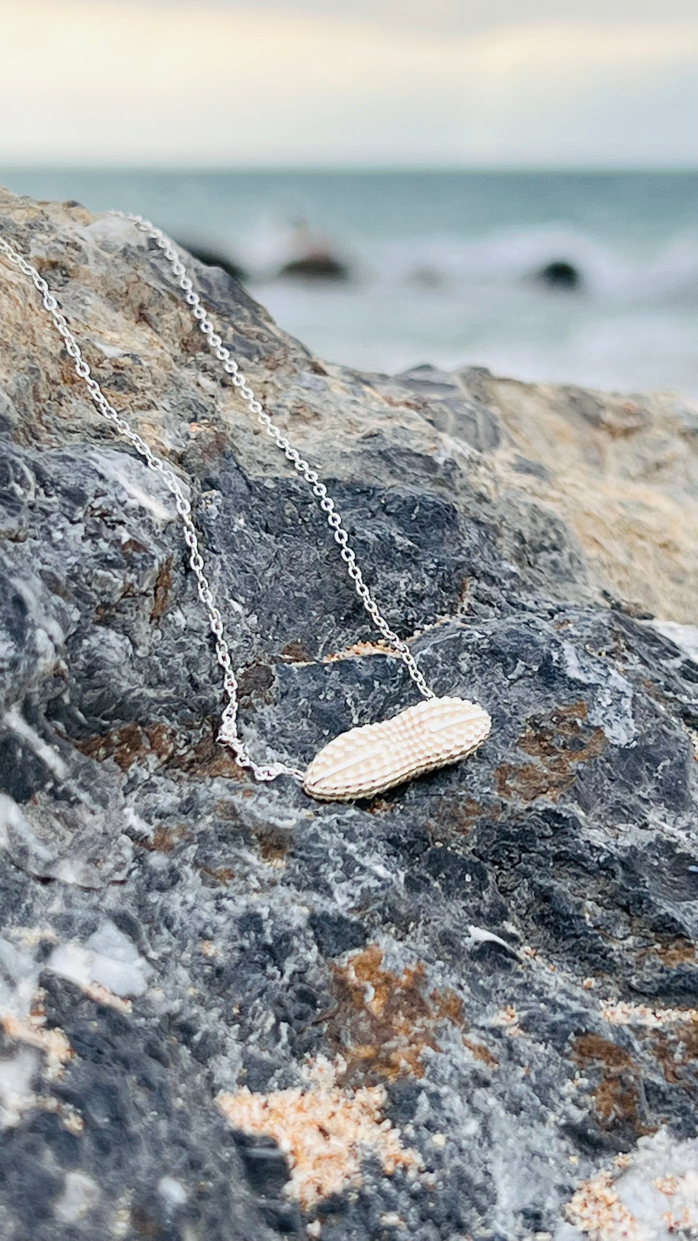 Collier “Petit Diploneis”, Argent