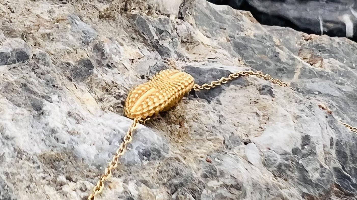 Collier “Petit Diploneis”, Argent Plaqué Or