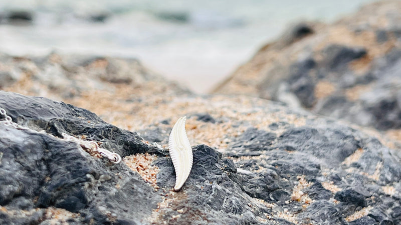 Collier Petit Littoral Argent