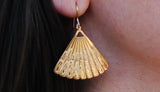 Boucles d'oreilles Licmophora Plaqué Or