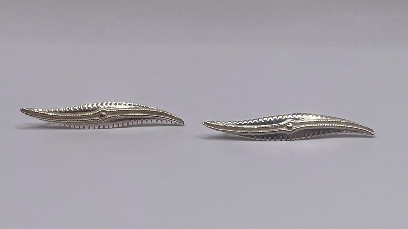 Littoral earrings, solid sterling silver