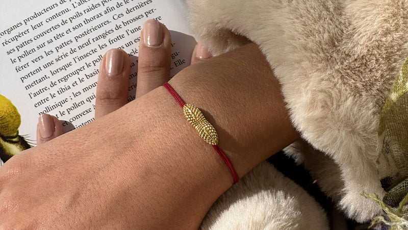 Bracelet Petit Diploneis Plaqué Or