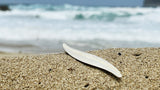 Sautoir plancton Littoral Argent