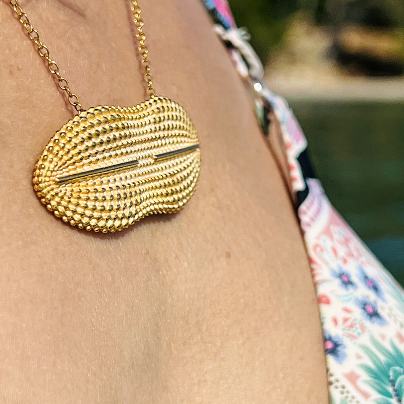 Collier Diploneis Plaqué Or